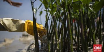 Pejabat Kemenhut Dilantik Sebagai Kepala Badan Pengelola Gambut dan Mangrove